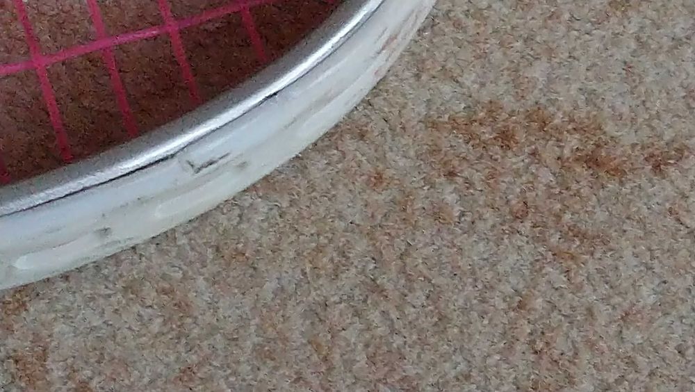 Ракета за скуош Dunlop Airfoil pro