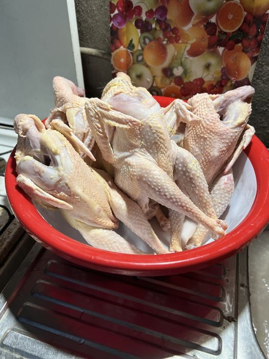 Tavuq Тавуқ гўшти Хўроз гўшти бор хоаки халол сўйилган