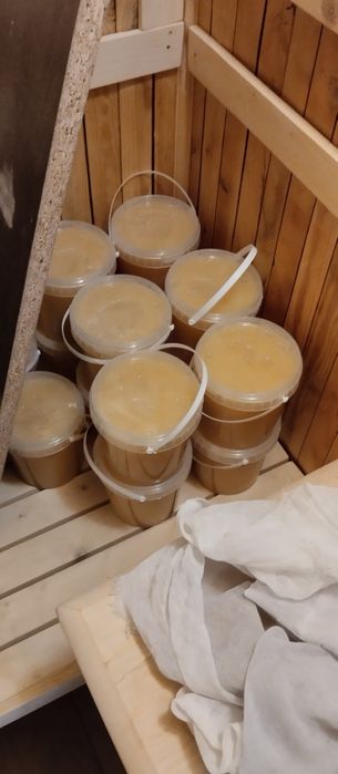 Продам высокогорный мед.