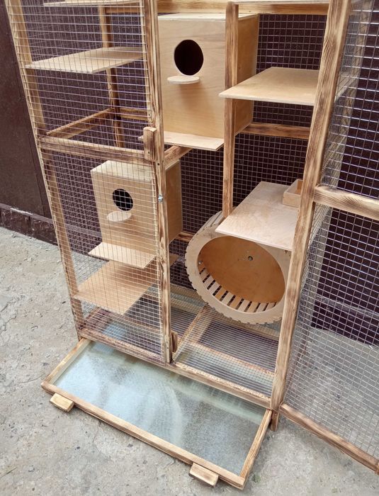 Вольер для белки , белок для размножения