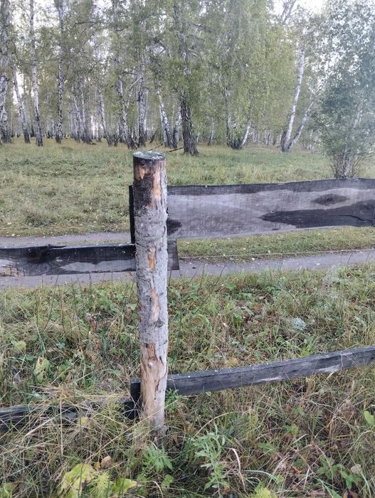 Доски  бревна забора на дрова БЕСПЛАТНО