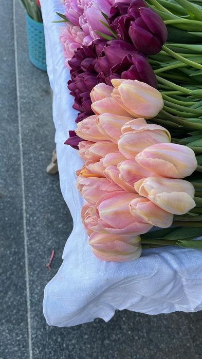 Тюльпаны, цветы, розы