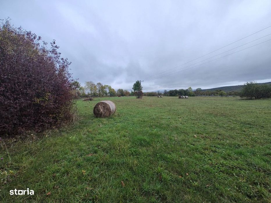 Teren intravilan in Padureni - Chinteni, 3200 mp, intre case