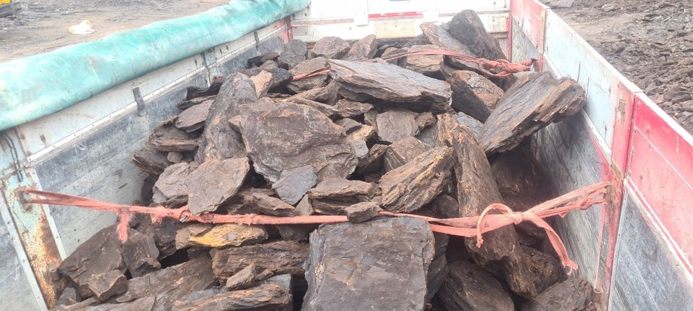 Carbune lignit si lemne de foc