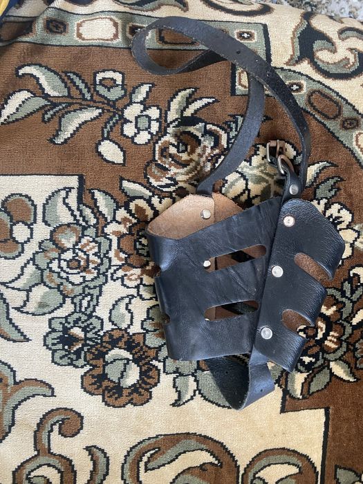 Ошейник и намордник