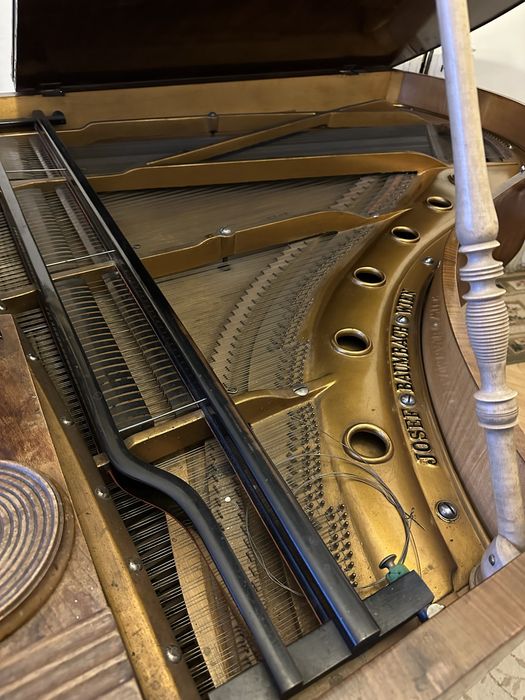 Vand pian coada lunga