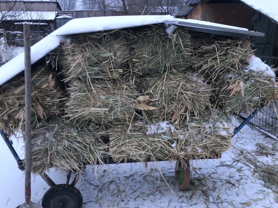 Шөп сатылады шөп