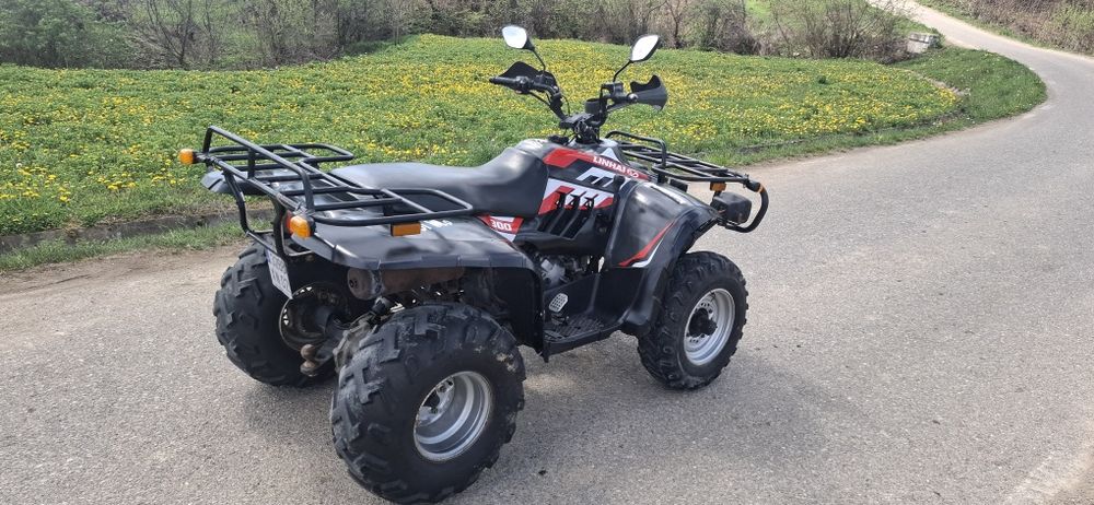 Vand linhai 300cc cu acte