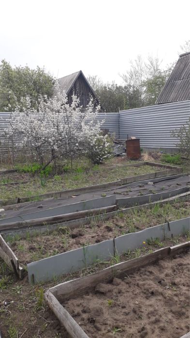 продам дачу со мелиоратор