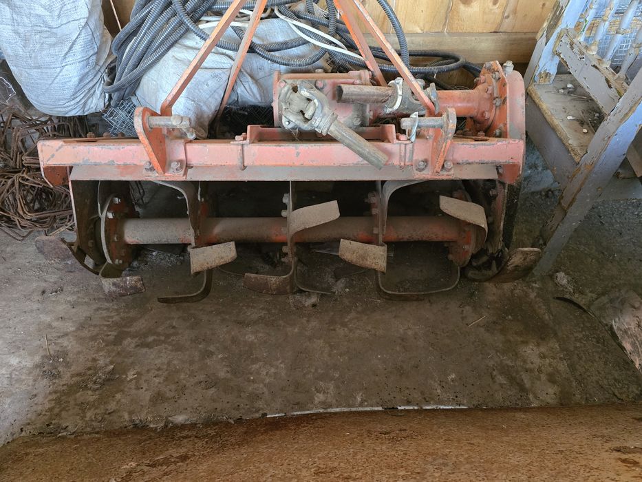 Oua gaini brahma metisi