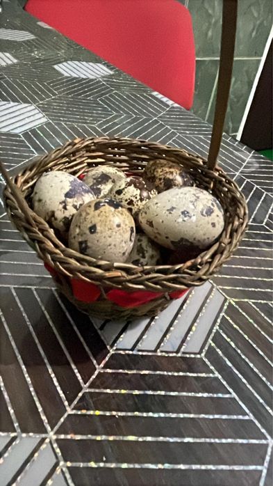 Vand oua de prepelita