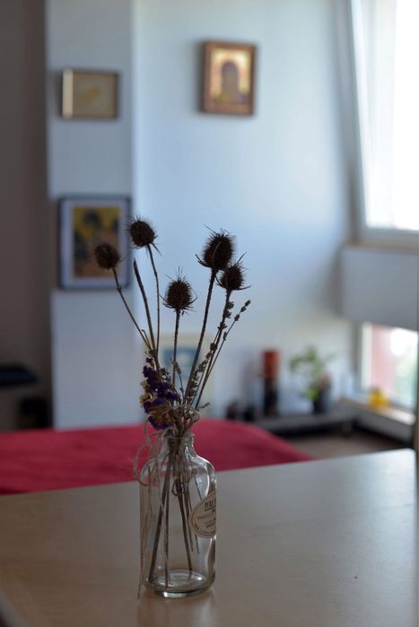 Studio de închiriat
