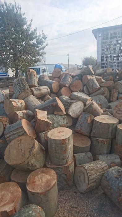 Lemne de foc salcam si fag cu CARD ENERGIE