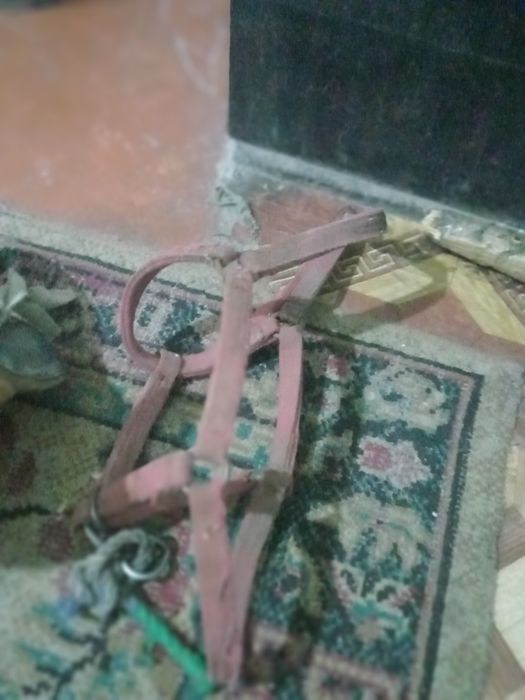 Ер-тоқым сатам асау ер