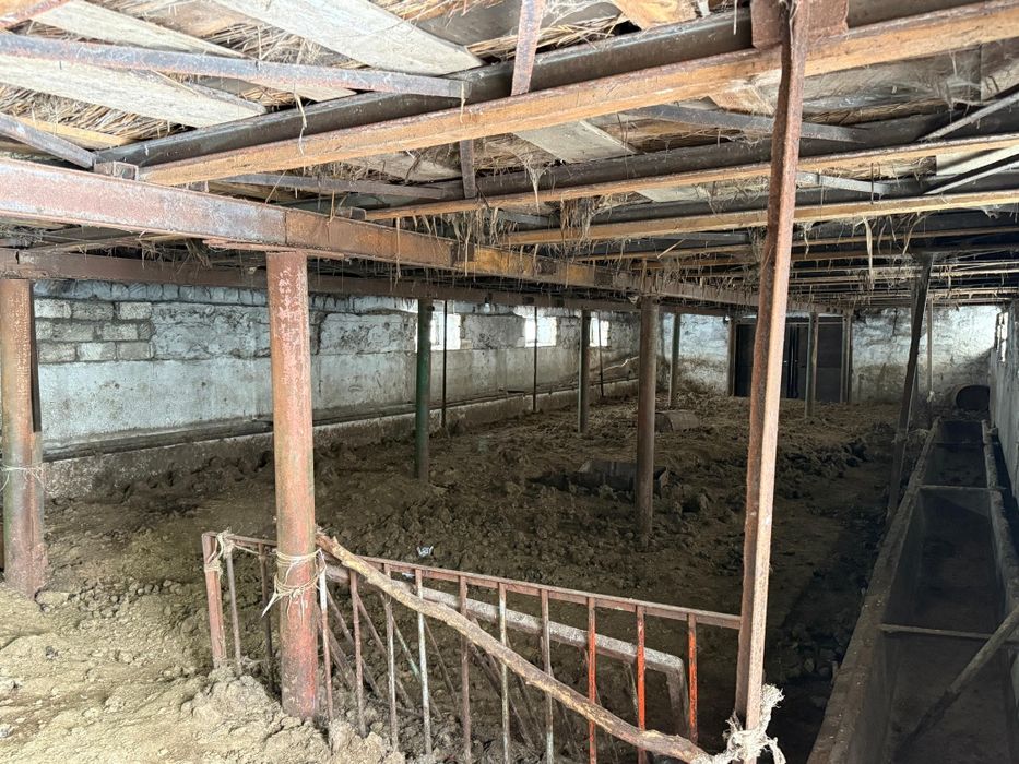 Продам крестьянское хозяйство