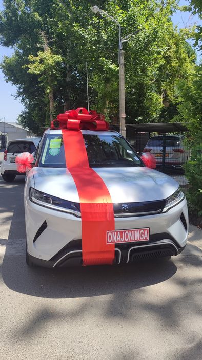 Автобантик, бант бантик lenta