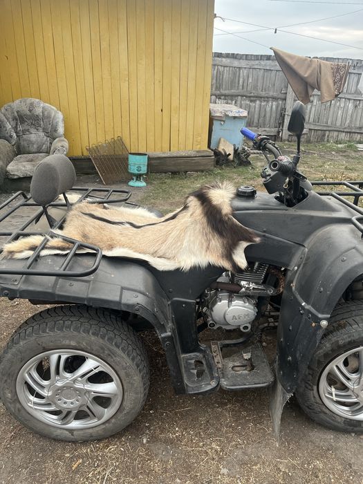 Адреналин на колесах