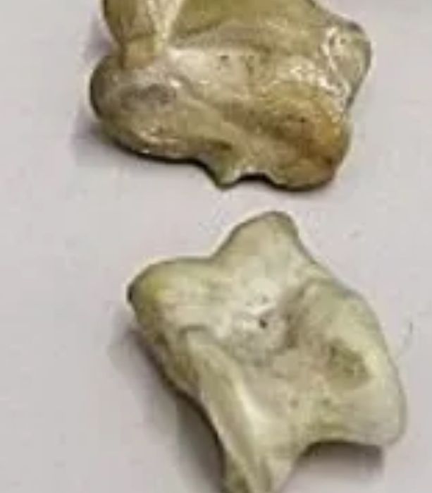 Қойдың асығын сатамыз