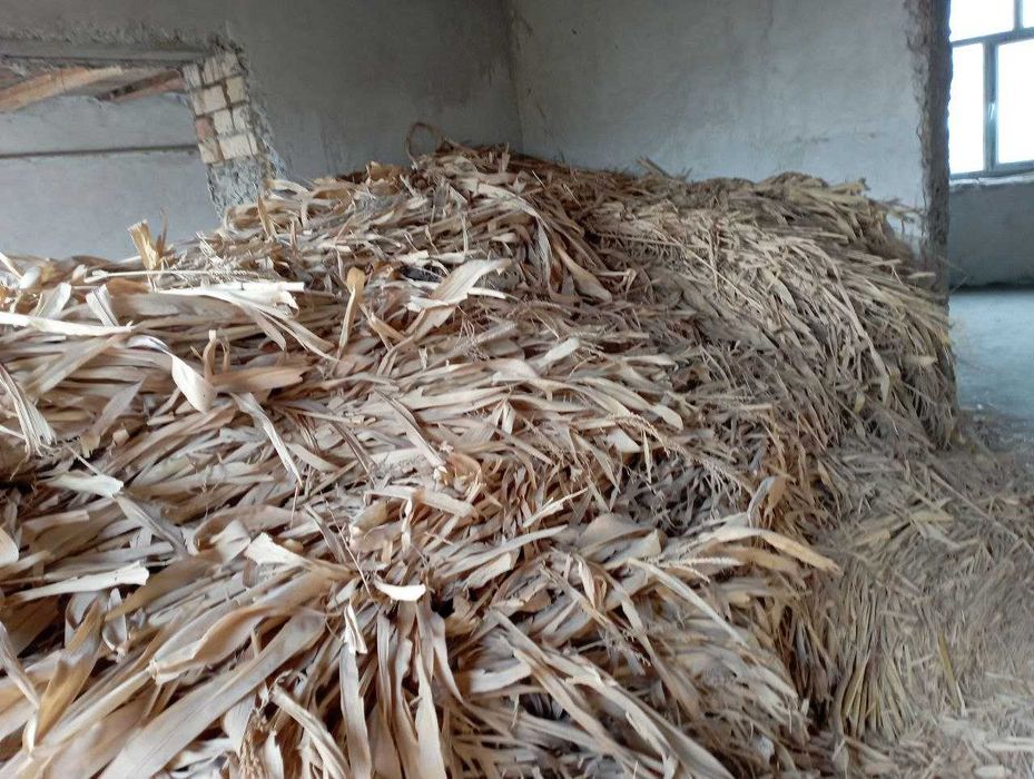 Ем (жухори). Кукуруза для скотов