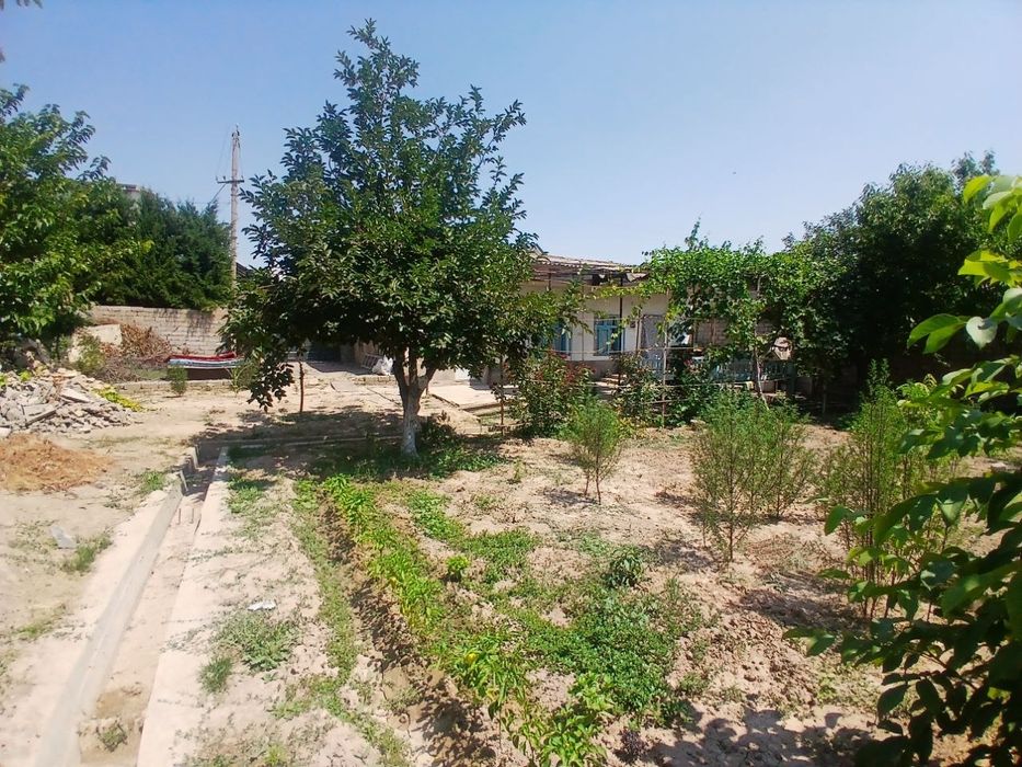 Ховлимиз сотилади ТТЗга 2,5 КМ