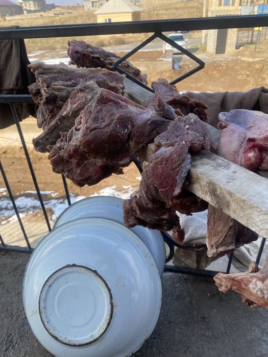 Жылқы еті Қызысымен Кептірілген Тұздалған Изготовление Казы на дому!