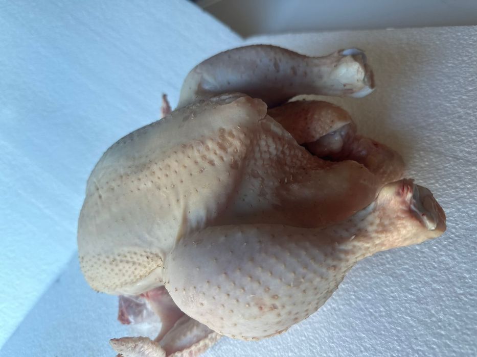 Свежее мясо бройлера