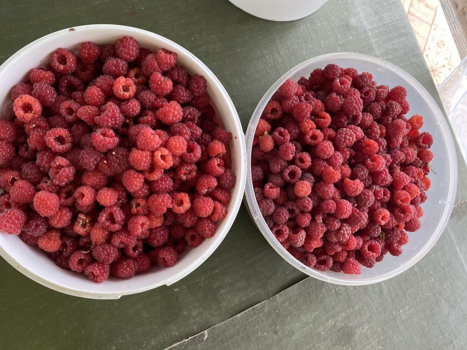 Продам дачу на Каучук 12 соток