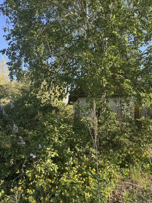 Продам дачу остоновка ягодка