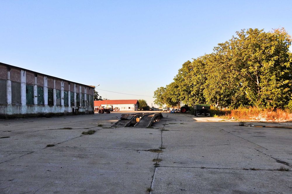 Fermă agricolă Hodoni, Timiș 2,3 ha, hale, birouri, cântar 50 t