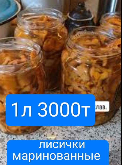 Лисички грибы 3000тенге