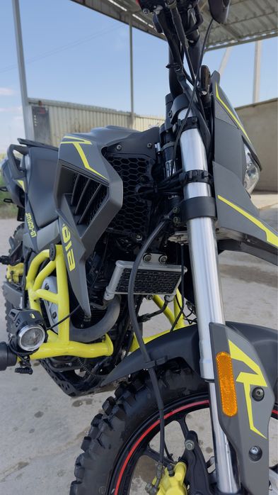 Jelmaia G7 (қара бұқа)