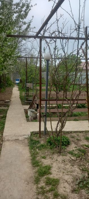 Дом Кайнар булак