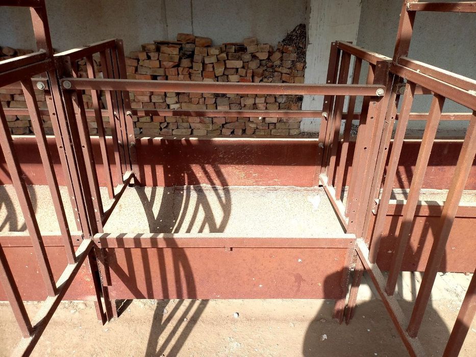 Охурлар бор мол ва қўйга