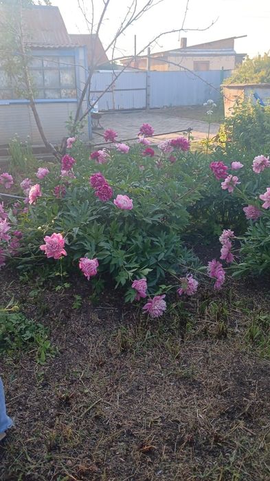 Продам дачу на 2 краснаярский