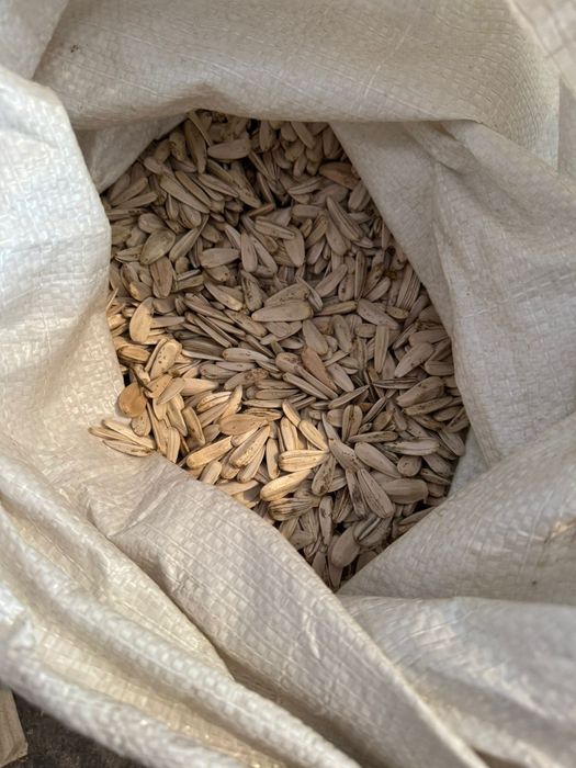 Продаются семечки