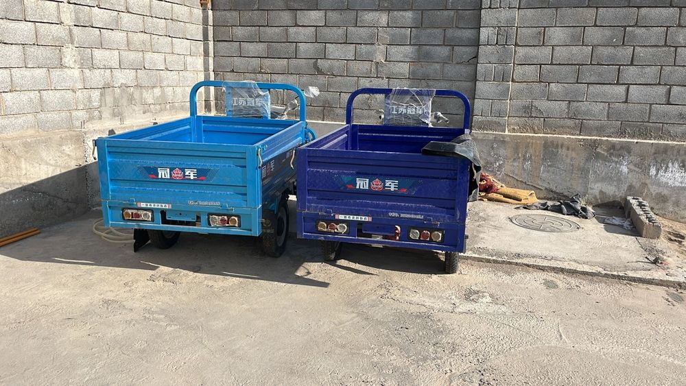 Муравей матциклл