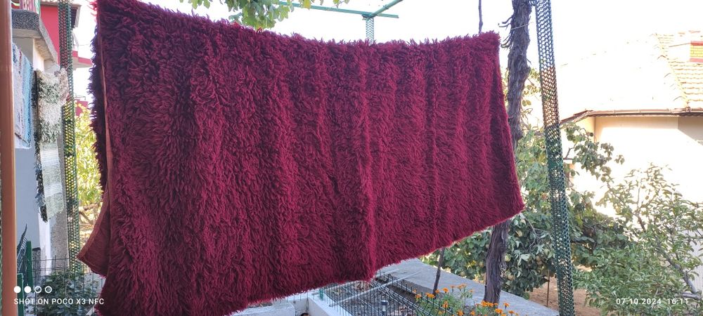 Вълнен китеник/губер/реснак