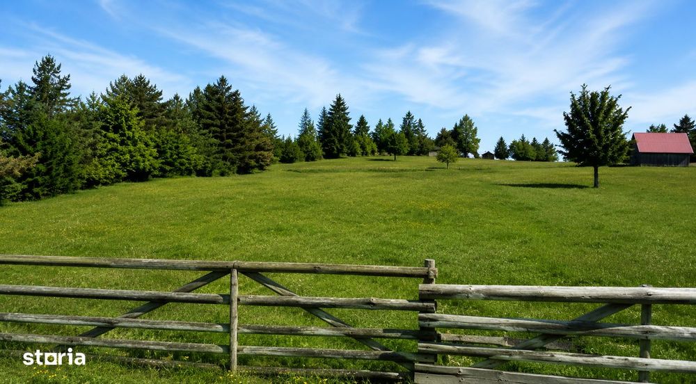 Teren SUPERB la munte, INTRAVILAN, statiunea Covasna