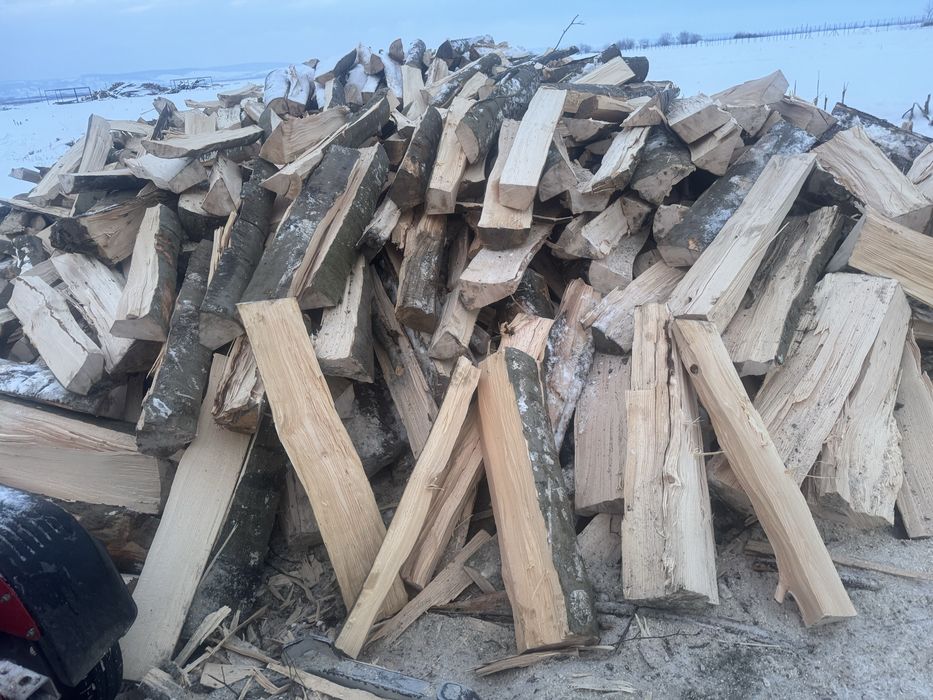 Vând lemne de fag !