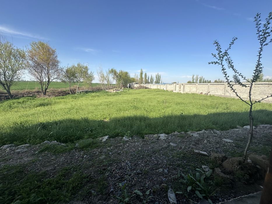 Ферма чорвага кизиканларга зор жой