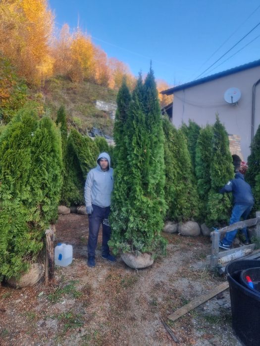 Poze reale 100% livrare gratuita în toată tara