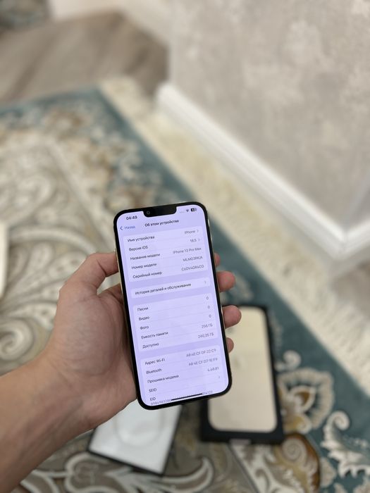 iPhone 13 Pro Max 256 GB