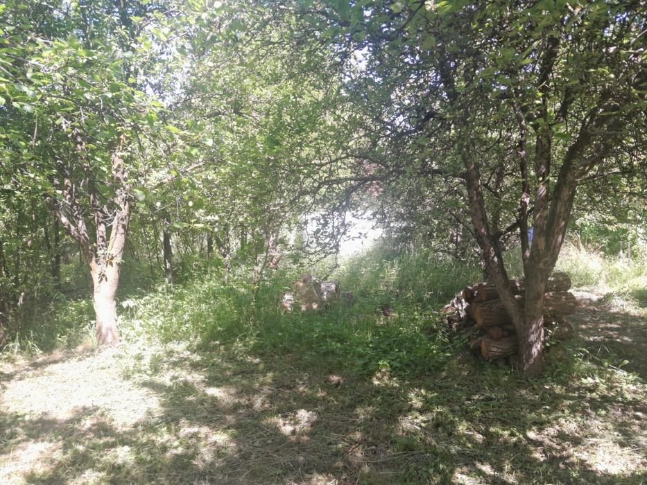 Teren intravilan 2000m2 proprietar - Prahova CORNU DE JOS centru