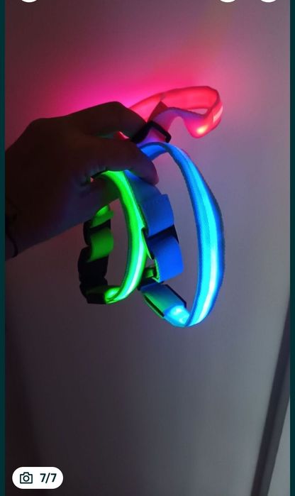 zgarda pentru câini luminoasa