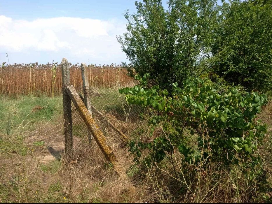 Продава се Парцел в с. Голям чардак, Област Пловдив - 675 кв.м за 23 €/кв.м - Снимка #4