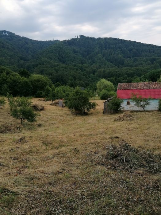 De vanzare teren intravilan 4500 mp,cu casa veche in Sovata