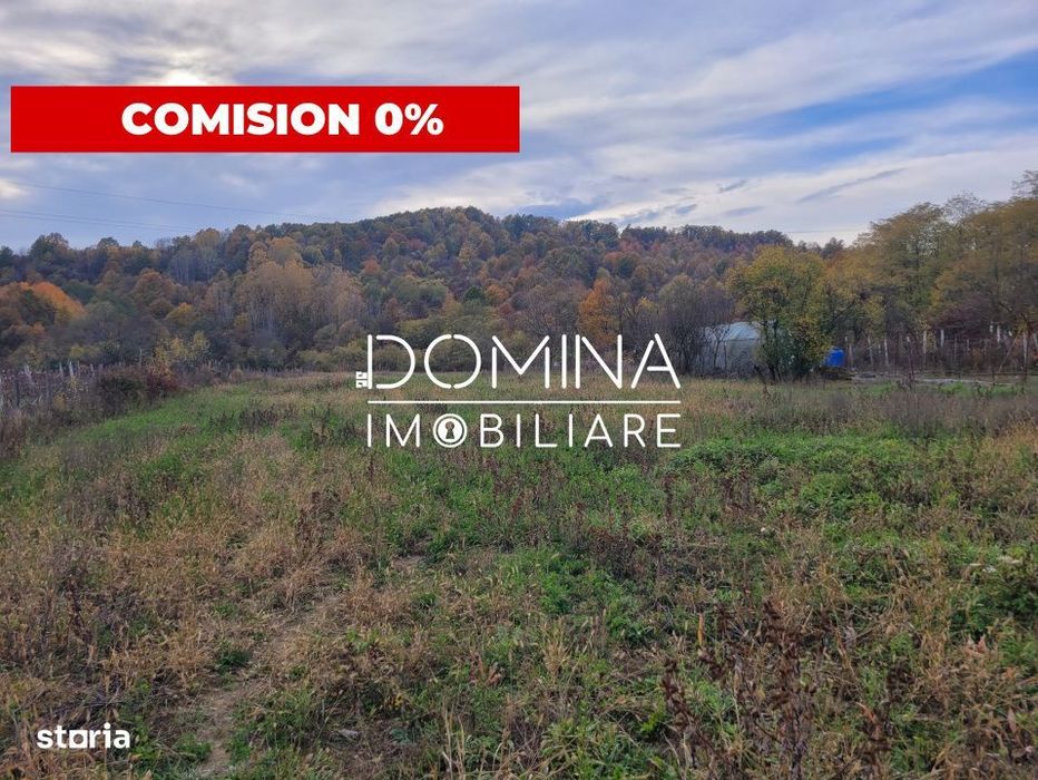 Vanzare teren intravilan, 4967  mp, utilitati, sat Rasova, Balesti.