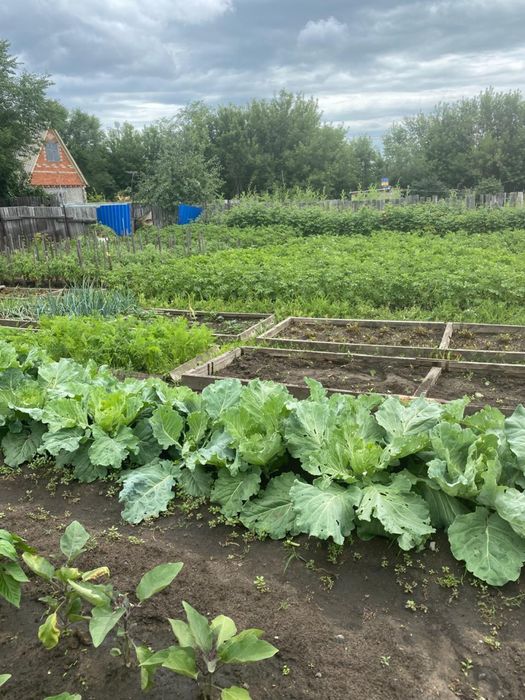 Продам дачу, 18 маршрут