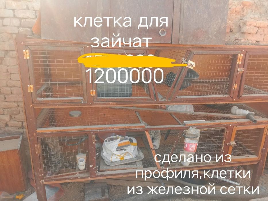 Клетка для зайцев