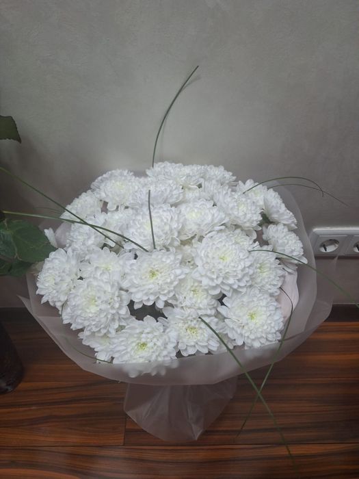 Продам цветы свежие